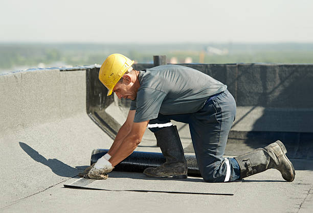 Best Insulation Removal  in Highland, NY