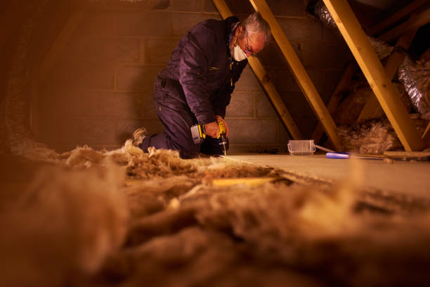 Best Home Insulation Services  in Highland, NY